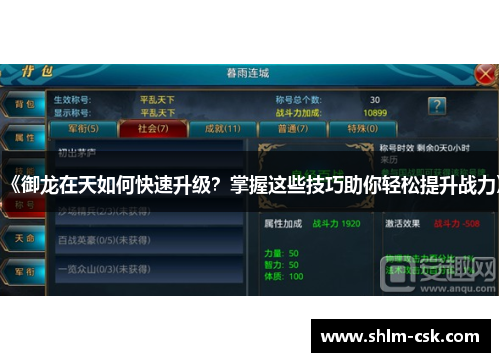 《御龙在天如何快速升级？掌握这些技巧助你轻松提升战力》